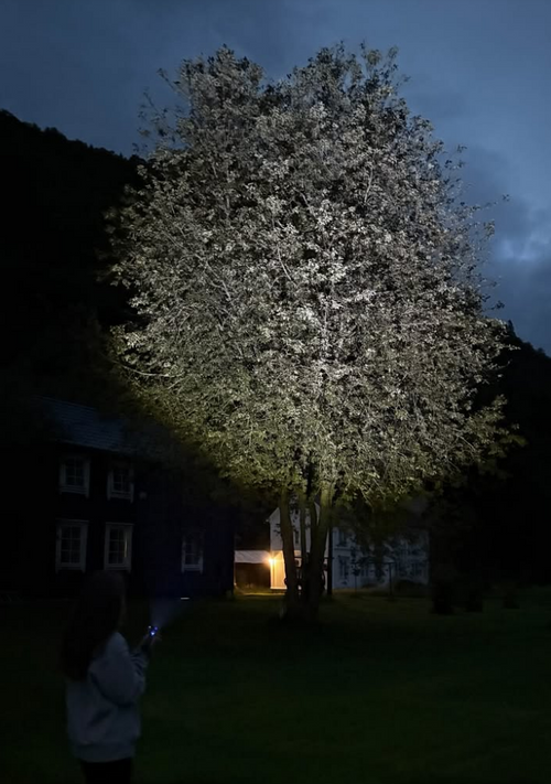 LED-lommelykt
